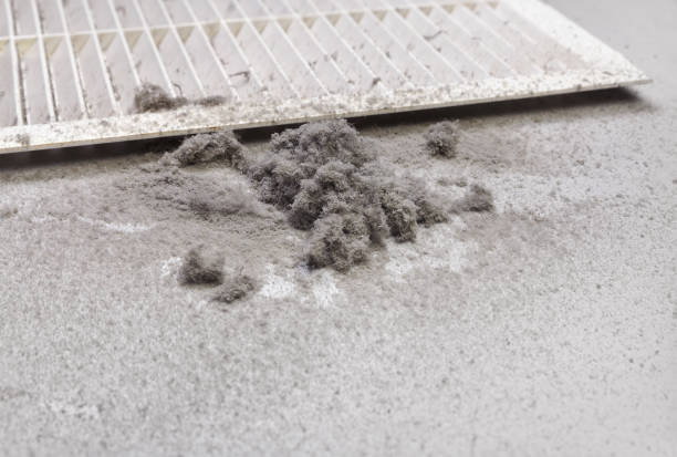 Best Air Duct Cleaning Company Near Me  in New Hempstead, NY