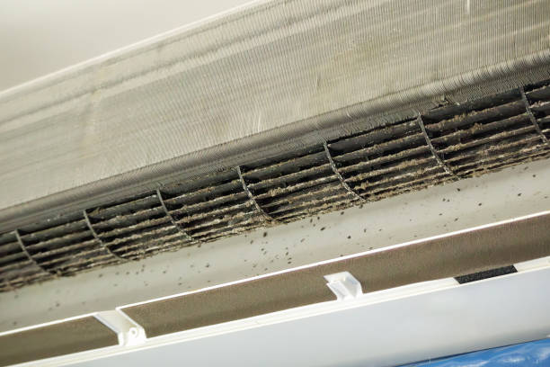 Best Emergency Air Duct Cleaning  in New Hempstead, NY